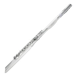 Roland Aerophone Brisa Digital Wind Instrument [AE-BRISA]