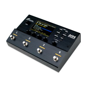 Fractal Audio Systems AM4