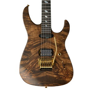 Caparison Dellinger-SH-BM-CL (2025) Black Amber Matt