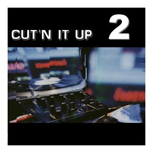 BIG FISH AUDIO CUT'N IT UP 2[���[���[�i]