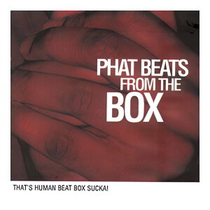 BIG FISH AUDIO PHAT BEATS FROM THE BOX[���[���[�i]