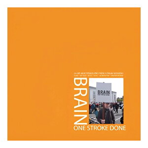 BIG FISH AUDIO BRAIN ONE STROKE DONE[���[���[�i]