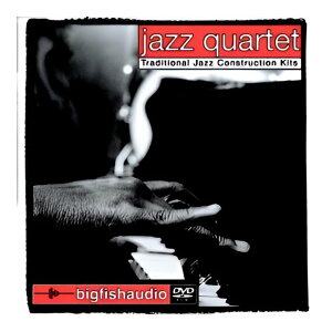 BIG FISH AUDIO JAZZ QUARTET [���[���[�i]