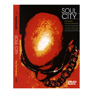 BIG FISH AUDIO SOUL CITY[���[���[�i]