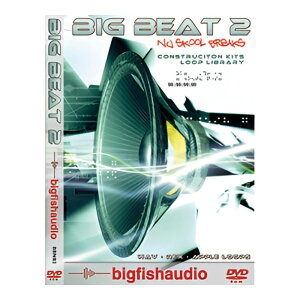 BIG FISH AUDIO BIG BEAT 2 NU SKOOL BREAKS[���[���[�i]