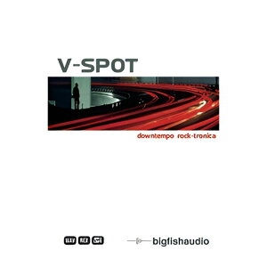 BIG FISH AUDIO V SPOT[���[���[�i]
