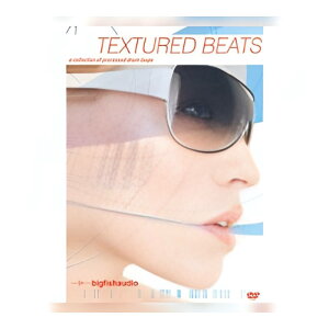 BIG FISH AUDIO TEXTURED BEATS[���[���[�i]