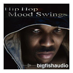 BIG FISH AUDIO HIP HOP MOOD SWINGS[���[���[�i]