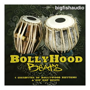BIG FISH AUDIO BOLLYHOOD BEATS[���[���[�i]