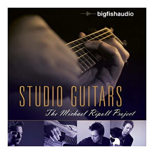 BIG FISH AUDIO STUDIO GUITARS / THE MICHAEL RIPOLL PROJECT[���[���[�i]