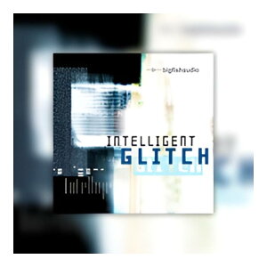 BIG FISH AUDIO INTELLIGENT GLITCH[���[���[�i]