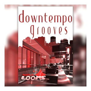 BIG FISH AUDIO DOWNTEMPO GROOVES[���[���[�i]