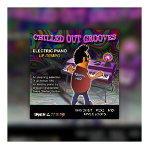 BIG FISH AUDIO CHILLED OUT GROOVES: ELECTRIC PIANO UP-TEMPO[���[���[�i]