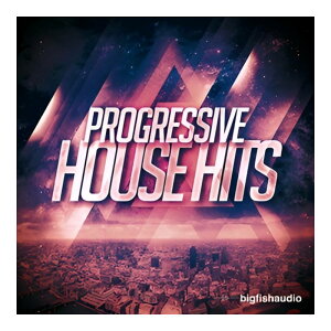 BIG FISH AUDIO PROGRESSIVE HOUSE HITS[���[���[�i]