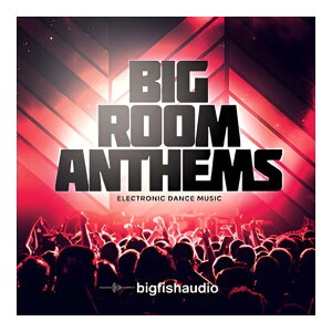 BIG FISH AUDIO BIG ROOM ANTHEMS[���[���[�i]