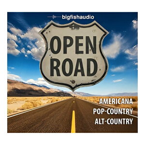 BIG FISH AUDIO OPEN ROAD[���[���[�i]