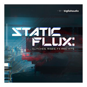 BIG FISH AUDIO STATIC FLUX[���[���[�i]