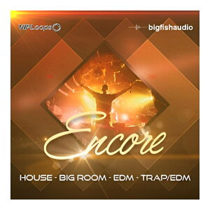 BIG FISH AUDIO ENCORE[���[���[�i]