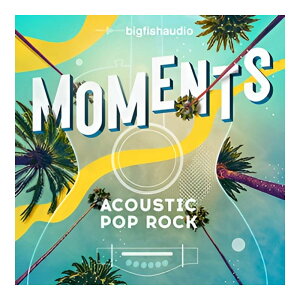 BIG FISH AUDIO MOMENTS ACOUSTIC POP ROCK[���[���[�i]