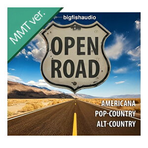 BIG FISH AUDIO OPEN ROAD MMT[���[���[�i]