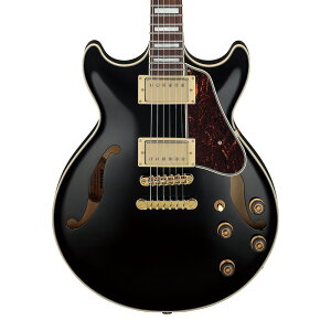 ��5,000�~OFF�N�[�|���z�z�� Ibanez AM Artcore AM73G-BK (Black)