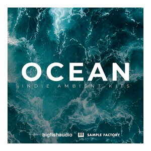 BIG FISH AUDIO OCEAN - INDIE AMBIENT KITS[���[���[�i]