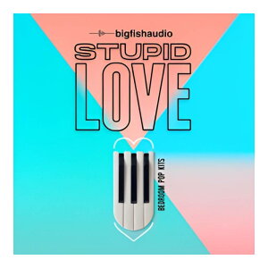 BIG FISH AUDIO STUPID LOVE - BEDROOM POP KITS[���[���[�i]
