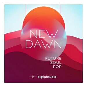 BIG FISH AUDIO NEW DAWN - FUTURE SOUL POP[���[���[�i]