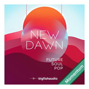 BIG FISH AUDIO NEW DAWN - FUTURE SOUL POP MMT[���[���[�i]