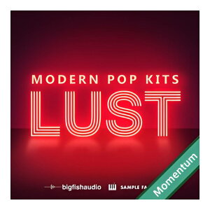 BIG FISH AUDIO LUST - MODERN POP KITS MMT[���[���[�i]