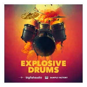 BIG FISH AUDIO EXPLOSIVE DRUMS[���[���[�i]