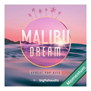 BIG FISH AUDIO MALIBU DREAM - UPBEAT POP KITS MMT[���[���[�i]