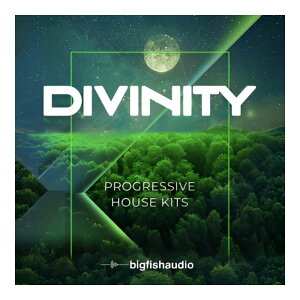 BIG FISH AUDIO DIVINITY - PROGRESSIVE HOUSE KITS[���[���[�i]