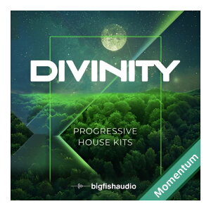 BIG FISH AUDIO DIVINITY - PROGRESSIVE HOUSE KITS MMT[���[���[�i]