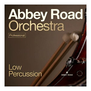 SPITFIRE AUDIO ABBEY ROAD ORCHESTRA: LOW PERCUSSION PRO [���[���[�i]