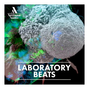 ARTISAN AUDIO LABORATORY BEATS [���[���[�i]