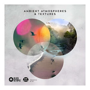 BLACK OCTOPUS AMBIENT ATMOSPHERES & TEXTURES BY AK [���[���[�i]