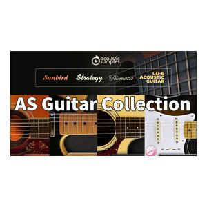 Acoustic Samples AS Guitar Collection [���[���[�i]
