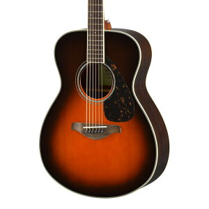YAMAHA FS830 ^oRuETo[Xg(TBS)