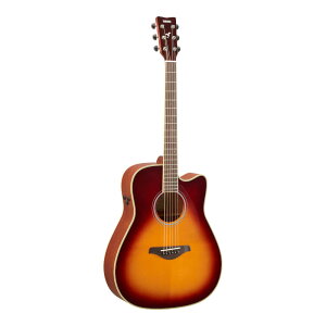 YAMAHA FGC-TA BS