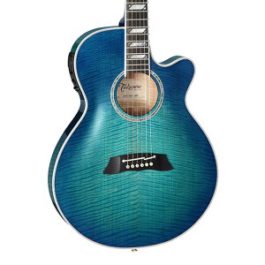 Takamine TSP178AC SBB yZ~n[hP[Xtz