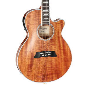 Takamine TSP178ACK N