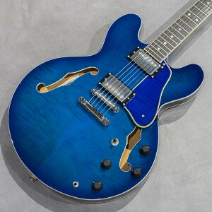 Landscape SA-101M SBL