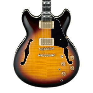 Ibanez SIGNATURE MODEL John Scofield JSM10-VYS (Vintage Yellow Sunburst)