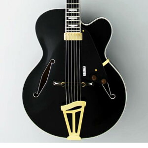 FUJIGEN (FGN) Masterfield MFA-FP Black [BK]