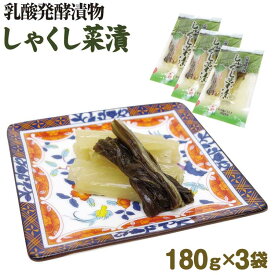 埼玉 お土産 メール便 しゃくし菜180g×3袋 さいたま 秩父 おみやげ 漬物 漬け物【ネコポス】