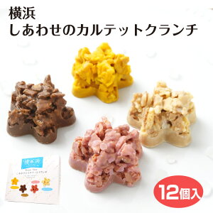 _ސ yY l킹̃Jebg 12 悱͂ ݂₰ `R[gN` A\[g `R[g