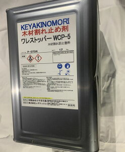 Xgbp[WCP-5 i17Kgʁj@vp؍ފ~ߍ܁@h~dグh