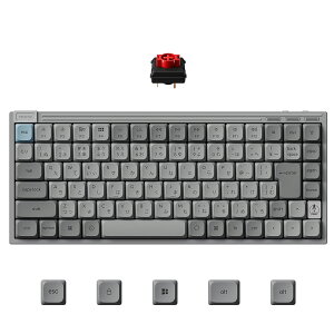 Keychron J9 ���C�����X�E���J�j�J���L�[�{�[�h_�}���`�y�A�����O_75%_�I�t�B�X_�e�����[�N_macOS_Windows_iOS_Android_Linux_PBT�L�[�L���b�v_�l�C