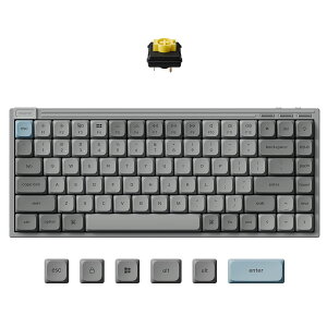 Keychron J9 ���C�����X�E���J�j�J���L�[�{�[�h_�}���`�y�A�����O_75%_�I�t�B�X_�e�����[�N_macOS_Windows_iOS_Android_Linux_PBT�L�[�L���b�v_�l�C